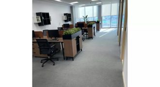 Invest at CFC for office with strong ROI.